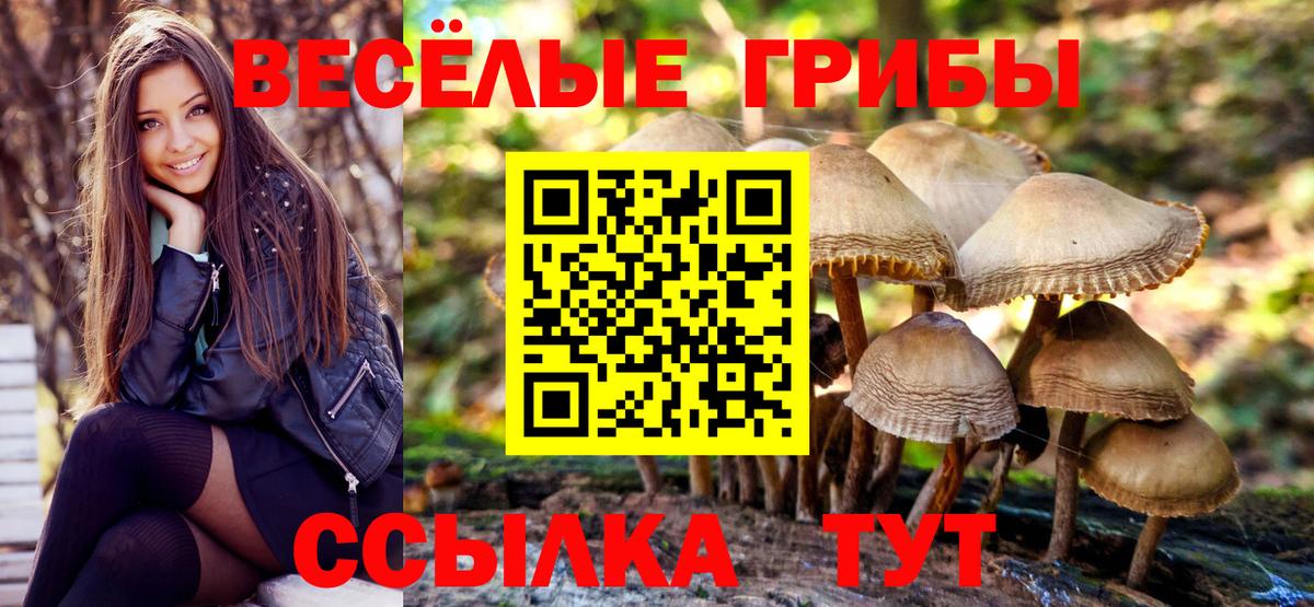 Галлюциногенные грибы GOLDEN TEACHER Дивногорск