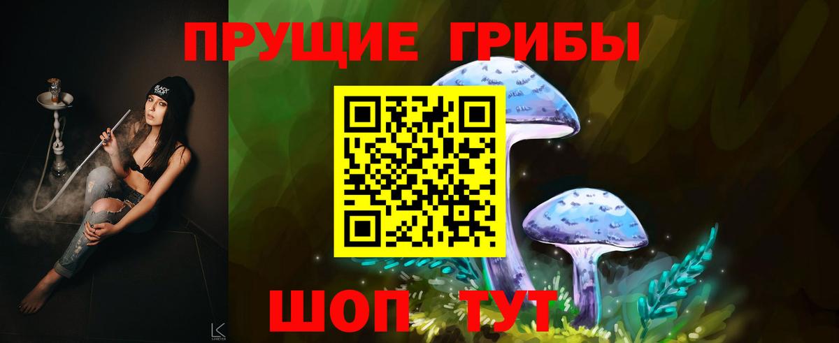 наркота  Вход с VPN  Дивногорск  Псилоцибиновые грибы Psilocybine cubensis 